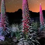 Paraiso De Anaga Σάντα Κρουζ Τενερίφης