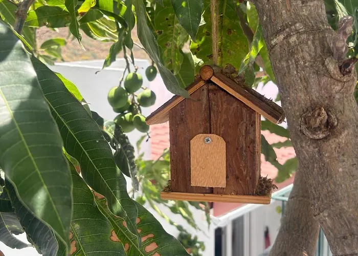 Paraiso De Anaga Διαμέρισμα Σάντα Κρουζ Τενερίφης
