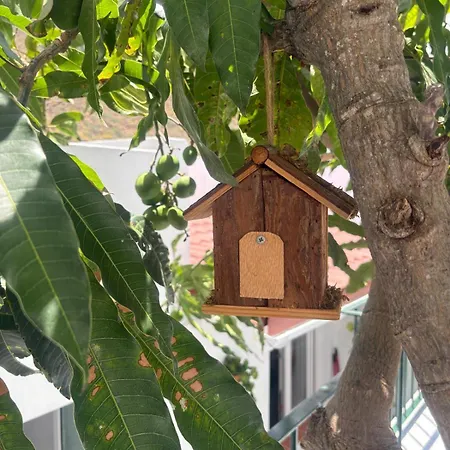 Paraiso De Anaga Daire Santa Cruz de Tenerife